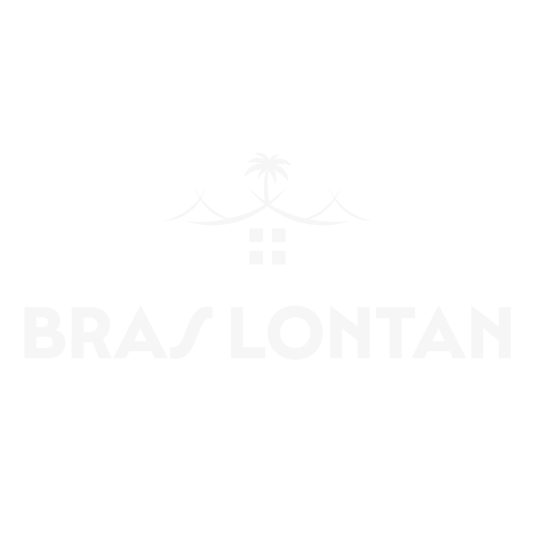 Logo hero Gîte Bras Lontan